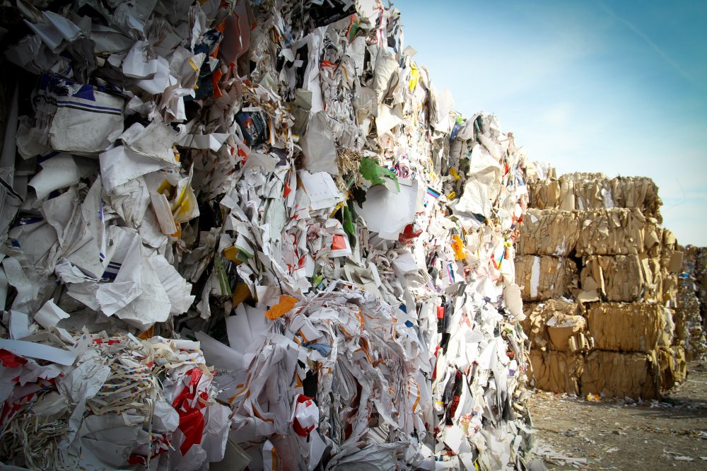 Affaldshåndtering er oppe i tiden som aldrig før – og bliver vildere endnu!